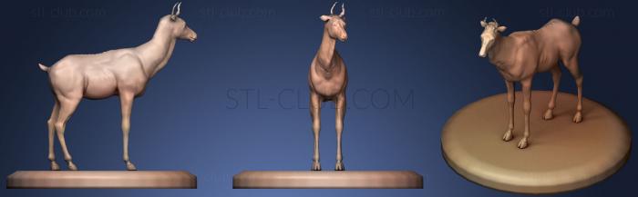 Posed deer sculpt